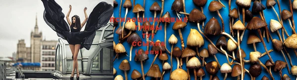 MDMA Premium VHQ Аксай