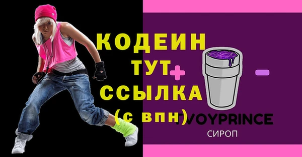 ПСИЛОЦИБИНОВЫЕ ГРИБЫ Гусь-Хрустальный