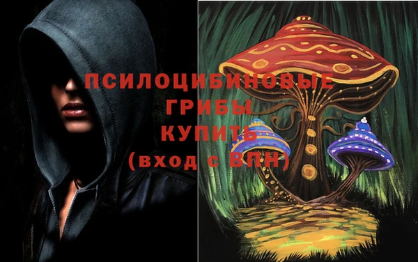 ПСИЛОЦИБИНОВЫЕ ГРИБЫ Гусь-Хрустальный