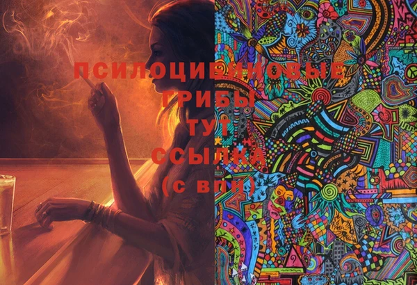 МДПВ Михайловка