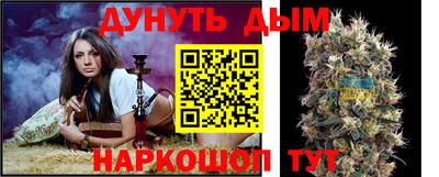 бошки Бийск