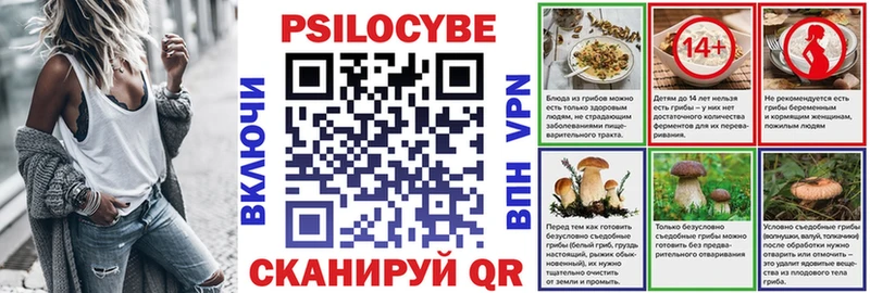 где купить omg маркетплейс Галлюциногенные грибы Psilocybine cubensis Саки