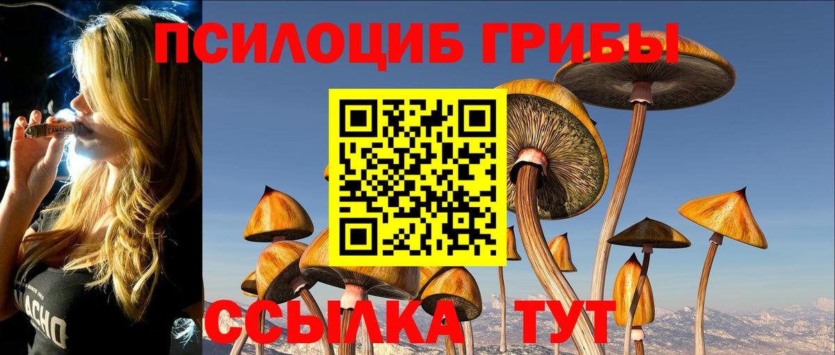 Псилоцибиновые грибы Psilocybe  Галлюциногенные грибы Magic Shrooms  Саки 