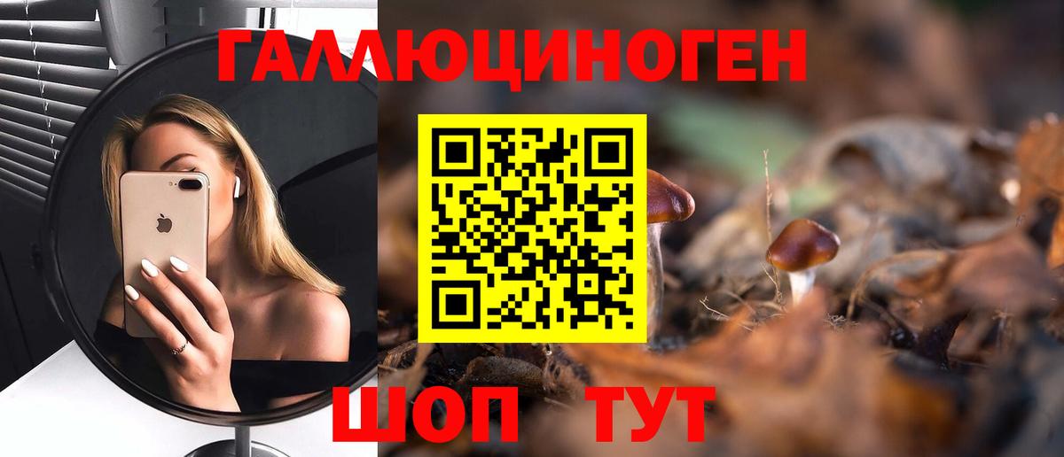 Саки  Псилоцибиновые грибы MAGIC MUSHROOMS  Вход с VPN 
